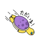 カメのクリリ（個別スタンプ：38）