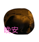 8mica（個別スタンプ：8）