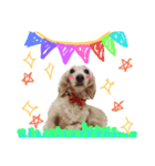 Dubby the hotdog（個別スタンプ：1）