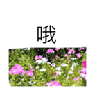 nature chinese（個別スタンプ：1）