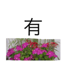 nature chinese（個別スタンプ：3）