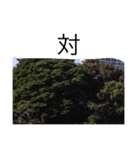 nature chinese（個別スタンプ：6）