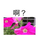 nature chinese（個別スタンプ：7）