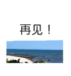 nature chinese（個別スタンプ：12）