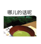 nature chinese（個別スタンプ：17）