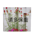 nature chinese（個別スタンプ：20）