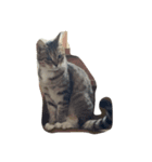 私の猫ミーちゃん（個別スタンプ：2）