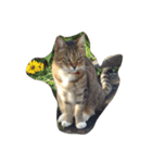 私の猫ミーちゃん（個別スタンプ：4）