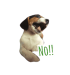 Scrub is dog.（個別スタンプ：7）