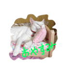 lovemarie（個別スタンプ：6）