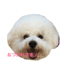 noenoe（個別スタンプ：1）