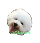 noenoe（個別スタンプ：2）