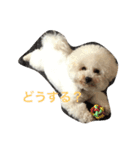 noenoe（個別スタンプ：5）