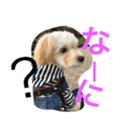日常会話です！（個別スタンプ：3）