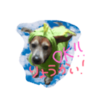 河西ヒロ（個別スタンプ：1）