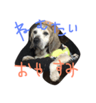 河西ヒロ（個別スタンプ：7）
