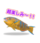 沖縄お魚5（個別スタンプ：12）