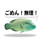 沖縄お魚6（個別スタンプ：7）