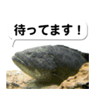 沖縄お魚6（個別スタンプ：8）