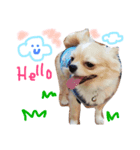 大好きわんこありすとくぅ（個別スタンプ：7）