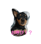 chunkun（個別スタンプ：3）