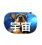 chunkun（個別スタンプ：5）