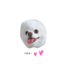 こまちすたんぴ♡（個別スタンプ：3）