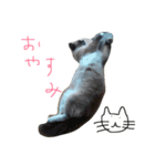 幸福（個別スタンプ：2）