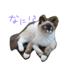 幸福（個別スタンプ：8）