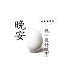 I'm an egg（個別スタンプ：3）