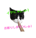 pontastamp（個別スタンプ：8）
