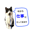 pontastamp（個別スタンプ：12）