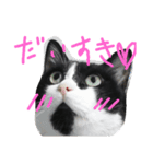 pontastamp（個別スタンプ：16）