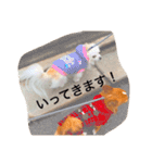 こはるとこゆき（個別スタンプ：4）