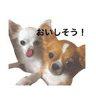こはるとこゆき（個別スタンプ：9）