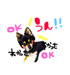 poco＆tsunastanp2（個別スタンプ：2）