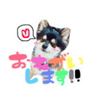 poco＆tsunastanp2（個別スタンプ：6）