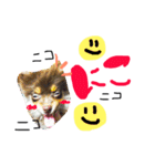 poco＆tsunastanp2（個別スタンプ：11）