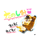poco＆tsunastanp2（個別スタンプ：13）