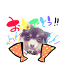 poco＆tsunastanp2（個別スタンプ：16）