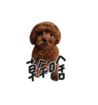 oo's life（個別スタンプ：1）