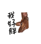 oo's life（個別スタンプ：2）