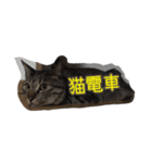 もずくのささやき（個別スタンプ：1）