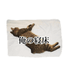 もずくのささやき（個別スタンプ：2）