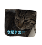 もずくのささやき（個別スタンプ：3）