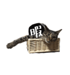 もずくのささやき（個別スタンプ：11）
