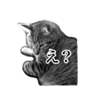 もずくのささやき（個別スタンプ：16）