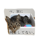 もずくのささやき（個別スタンプ：24）
