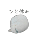 ゆずもも＊猫スタンプ（個別スタンプ：28）