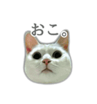 ゆずもも＊猫スタンプ（個別スタンプ：29）